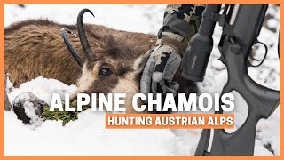 MOUNTAIN HUNTING CHAMOIS IN THE AUSTRIAN ALPS 🔥 BERGJAGD GAMS 🔥 VISIT TO THE SWAROVSKI OPTIK FACTORY