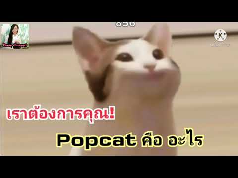 Popcat เกมส์ออนไลน์ สุดฮิต ระดับโลก เราต้องการคุณ รัวนิ้ว เพื่อชาติ Popcat meaning | Rose Travel