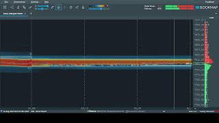 ES BOOKMAP LIVE ( نقدینگی های قیمت ) (14/08/2026)