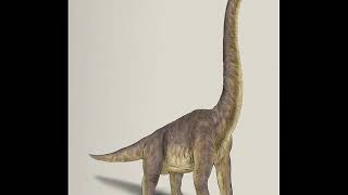 Brachiosaurus Alhorax Sounds J.p
