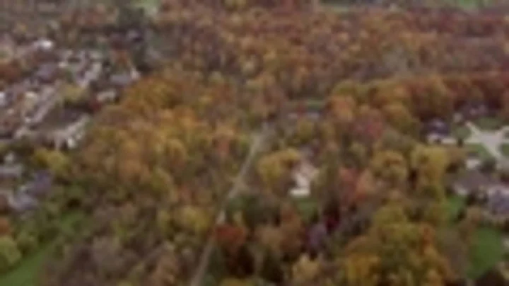 Watch: Sky 4 tours fall colors around Metro Detroit