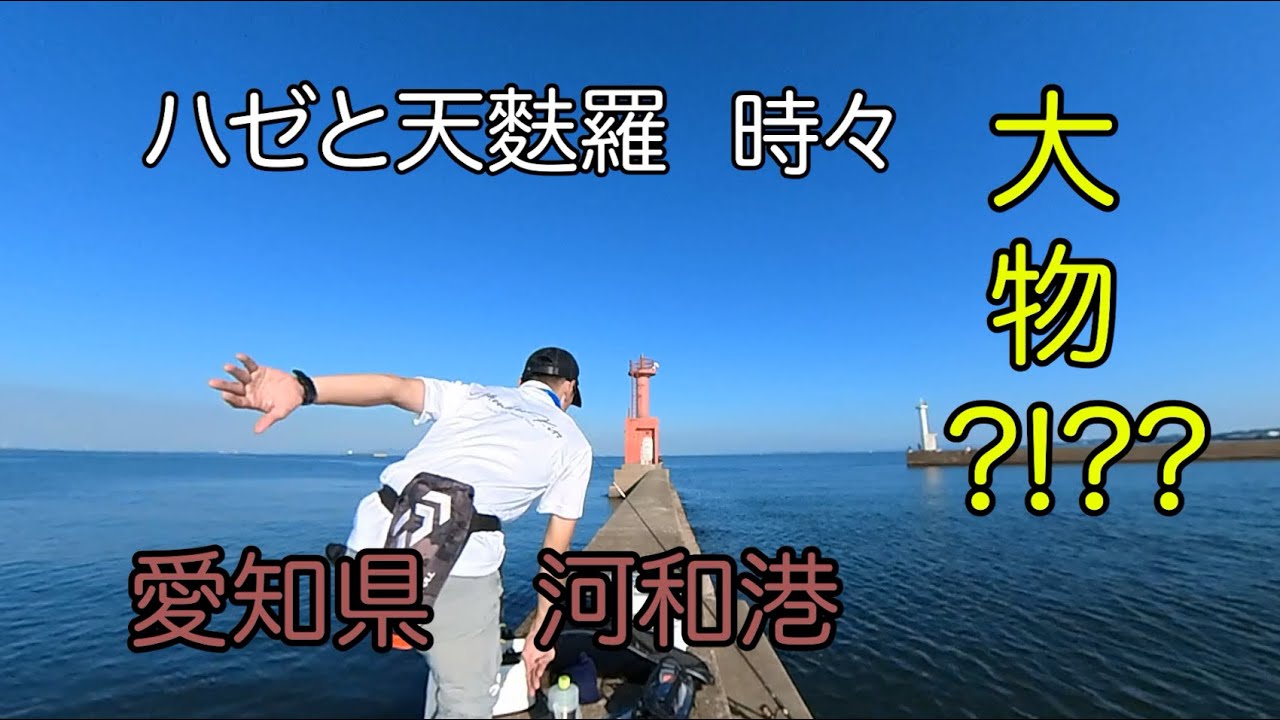 愛知県・河和港で釣りしてみた。