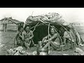 TOP 20 MIRACLE Medicinal Plants Native Americans Used Daily
