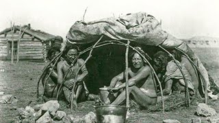 TOP 20 MIRACLE Medicinal Plants Native Americans Used Daily