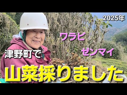 90 山採り　ヒサカキ 山菜採り】90才❗️山菜大収穫🍀 - YouTube