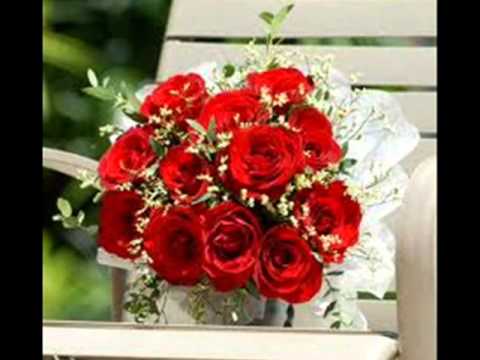 هيثم سعيد لسه باقى