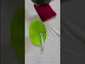How I introduced Broken Matta Rice to my 6mo Baby. #babyledweaning #baby #infantfood #cutebaby