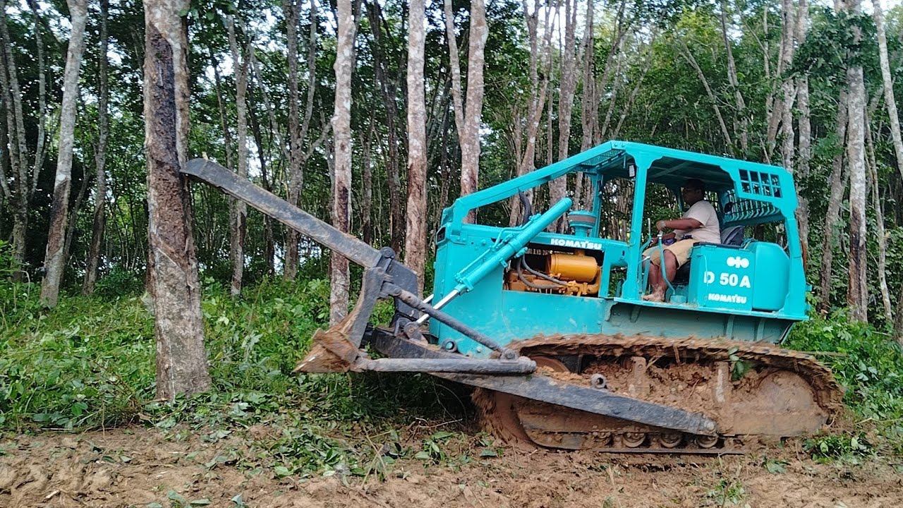 คันเดียวในเมืองตรัง!! รถแทรกเตอร์ D50A สายเขียวโกเบโก้!! ล้มไม้ยางพารา 235 ต้นบิ๊กๆ