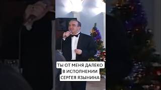 Сергей Язынин - Ты от меня далеко #shorts #шансон #музыка #вокал #тамада #россия #песня #шуфутинский