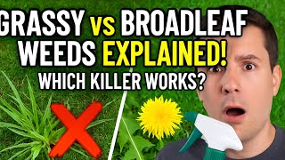 Grassy vs Broadleaf Weeds: What’s the Difference How to Kill Them FAST! Profile