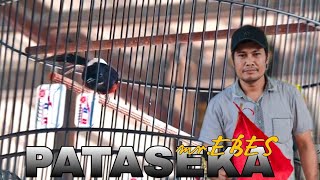 MURAI BATU PATASEKA MILIK MR.EBES AREGAL SF