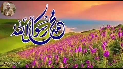 من سورة المائدة 14-17 بصوت الشيخ محمود المبيض