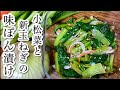 冷蔵庫に置いておきたい常備菜🥬ポイントおさえて旬の食材を美味しく食べる　小松菜と新玉ねぎの味ぽん漬け