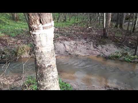 Video: Rozhayka is a river in Russia. Description, features, photo