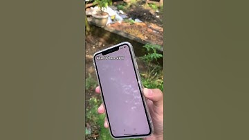 iPhone XS Max ios 18