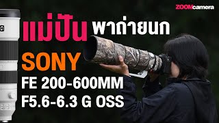 Sony FE 200-600mm f/5.6-6.3 G OSS ทำไมแม่ปันถึงเลือกเลนส์ Super Telephoto ตัวนี้ ?