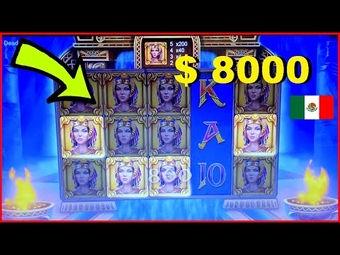 Wild Casino Blues