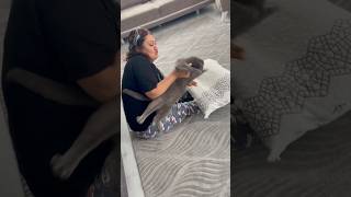 Evdeki Mental Sağlığımız