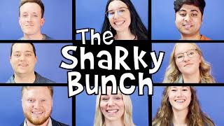 The Sharky Bunch - Chamber Choice 2021 | Introduction to AdShark Marketing