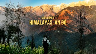 🇮🇳 India: Vietnamese 🇻🇳 Travel To Dharamshala, Himalayan Region, India For The 1st Time.