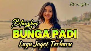 Lagu Joget Terbaru Setangkai Bunga Padi  Safrin Lapang Rmxr