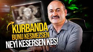 Kurbanı Hiç Böyle Düşünmemiştim - Said Şaşmaz | Hisar Kapısı