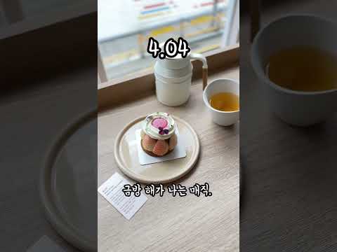 세로브이로그 꽃구경 #쇼츠 #daily #카페 #일상#shorts #벚꽃#맛집