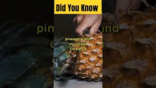 Pineapple And Cucumber Juice didyouknow viral