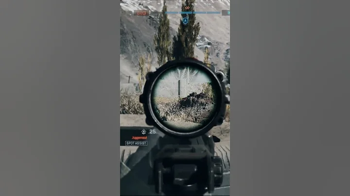 Why I Never Use Glint Scopes Anymore