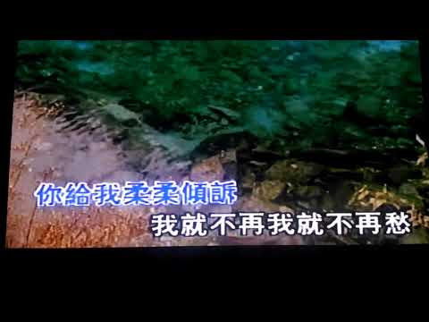 陈良泉MV(甜心我最爱的少女)冯昭明演唱