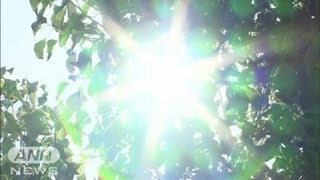 きのうの寒さ一転、10度以上も上昇　熱中症注意を（12/05/23)