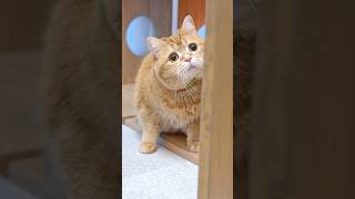 Something Sweeter Than Donuts 