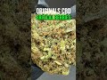 Critical Berries CBD Flower | A Closer Look #cbd #cbdflower #endocannabinoidsystem