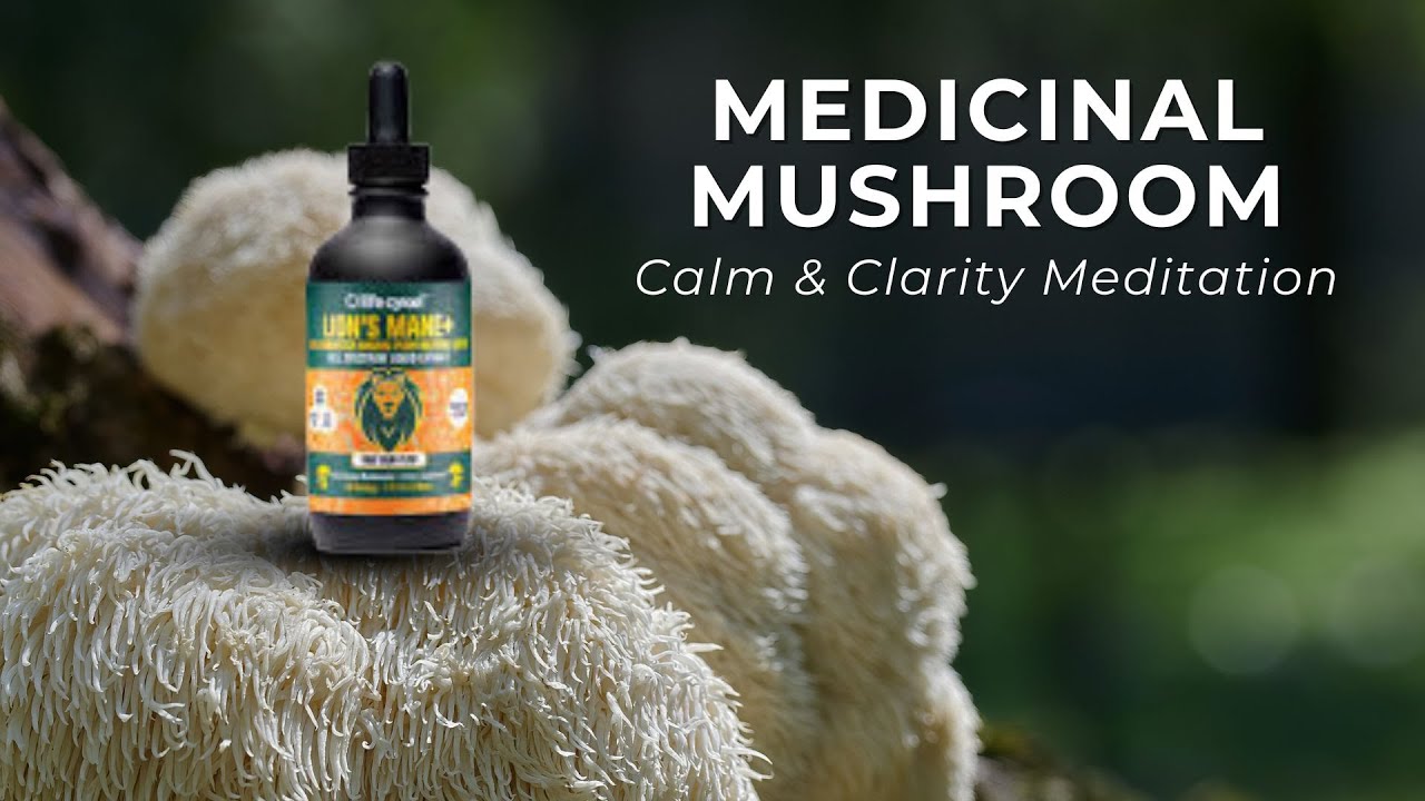 Medicinal Mushroom Meditation with Lion's Mane Mushroom | Calm & Clarity🍄 Life Cykel Discount Code