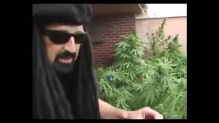 Ultimate Outdoor Grow Series Part 2