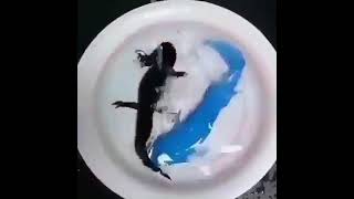 Şevbaş Iyi Akşamlar Good Evening