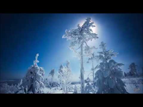 ❄️☃️WINTER 2020-Sam Feldt-Winter Wonderland☃️❄️