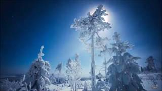 ❄️☃️WINTER 2020-Sam Feldt-Winter Wonderland☃️❄️