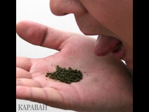 Насвай - состав и последствия употребления