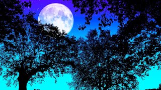 Guided Meditation Full Moon June. Fall Asleep On A Full Moon Night With Calming Cricket Sounds