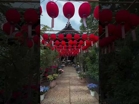 おふさ観音 | 奈良 ⛩️ Ofusa Kannon | Nara