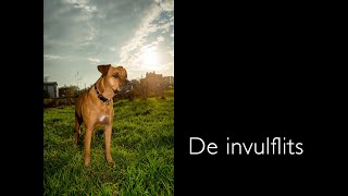 Download Lagu De invulflits MP3