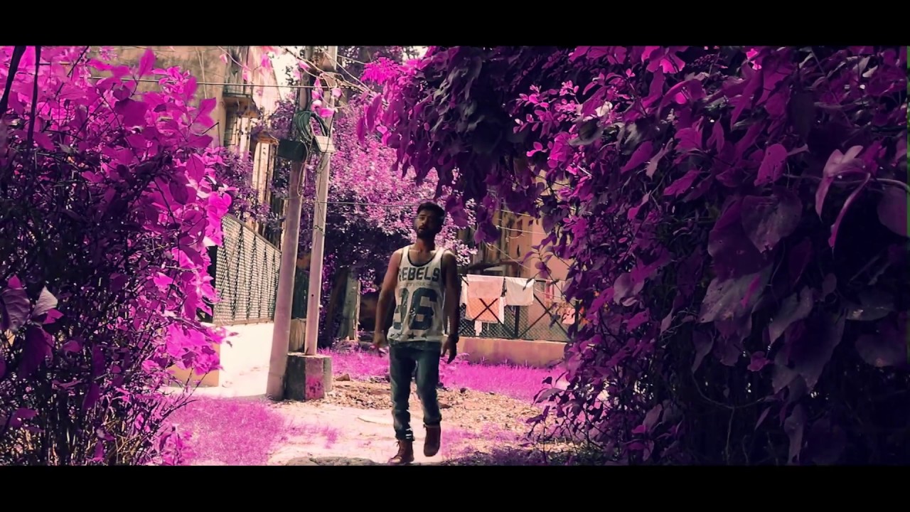 best ft DNR (trailer)