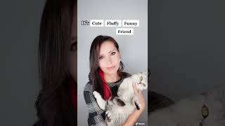 She was ready to run away #shorts #trending #top #itscorn #catlover #cat #tiktok #fyp #catvideos