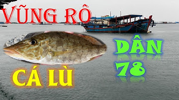 Câu Cá Biển - Cảng Vũng Rô Bè Nổi Đông Lai | DÂN 78