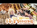 그만 쏟아!!!😱 고생 끝에 낙이 온다!? 수육4키로와 직접 담근 겉절이 + 비주얼갑 쉬폰샌드와 롤케이크 먹방 (feat.설거지옥..^^)