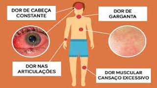 vírus da zika mata células de câncer no cérebro