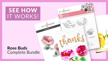 Playing with Rose Buds Complete Stamping Bundle