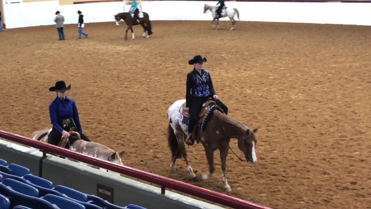 2017 Western Pleasure Jog HOR YouTube