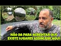 EM MEIO A MATA PARAÍSO OCULTOS NO ICAPARA / QUEBRANDO A ROTINA